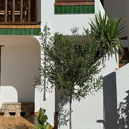 Espectacular Sunny House In The *